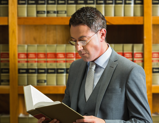 A Gentleman Reading a Law Book